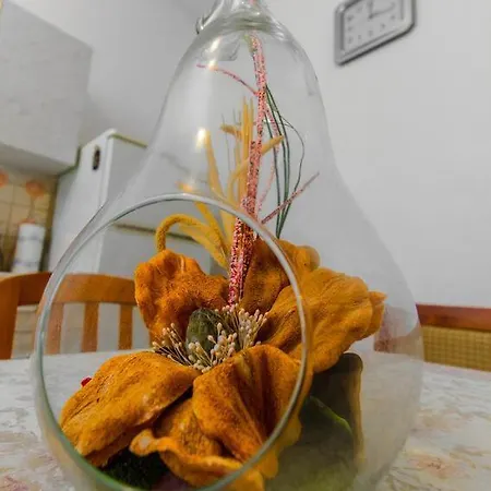 House With A Parking Space Kasic, Sibenik - 11079 Feriehus *