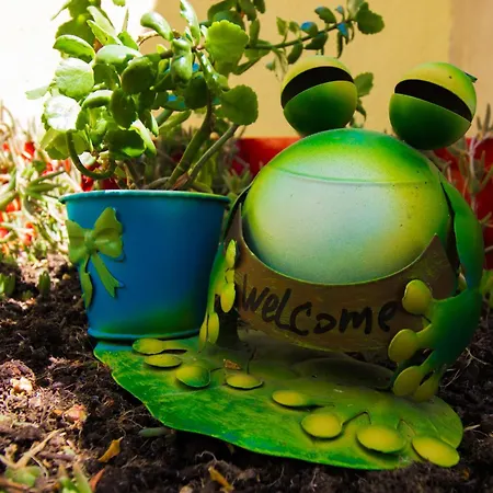 Ferienhaus House With A Parking Space Kasic, Sibenik - 11079 Pirovac