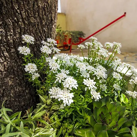 House With A Parking Space Kasic, Sibenik - 11079 Pirovac