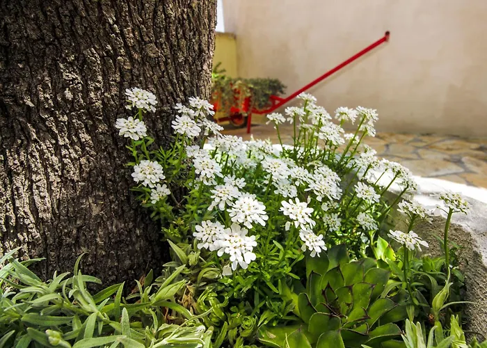 House With A Parking Space Kasic, Sibenik - 11079 皮罗瓦茨